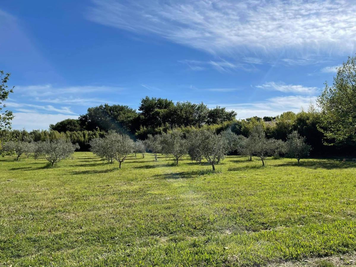 Appartement De Charme Sud Luberon Classe 4 Etoiles Puyvert Eksteriør bilde